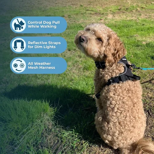 Vista 3 de Voyager Arnés para Perro con Doble Enganche de Correa, Control Sin Tirones, Ajustable, Suave pero Fuerte, Arnés para Mascotas para Perros Medianos