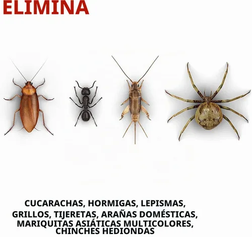Vista 5 de Raid Ant & Roach Killer aroma a limón 1.09 libras (paquete de 5)