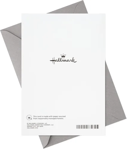 Vista 7 de Hallmark Surtido de tarjetas de graduación, felicitaciones graduadas (8 tarjetas con sobres, 4 diseños)
