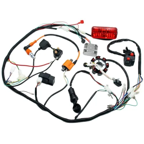 Vista 3 de PRO BAT Kit completo de arnés de cableado con estator CG de 8 bobinas AC Multi colorido