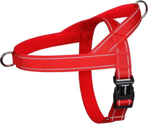 Vista 10 de rabbitgoo Arnés para perro sin tirones, ajuste rápido para perros de tamaño mediano con mango acolchado suave, chaleco reflectante ajustable