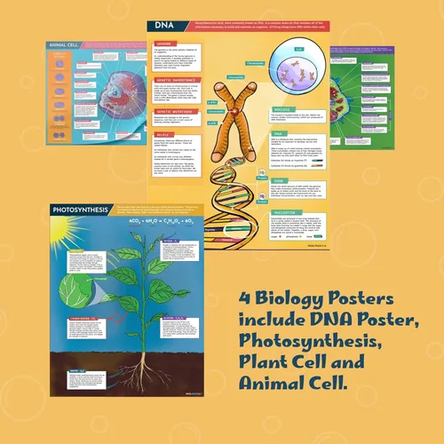 Vista 5 de Hubble Bubble Kids Carteles de ciencia para decoración de aulas: 4 carteles de biología incluyen póster de ADN, fotosíntesis, células vegetales