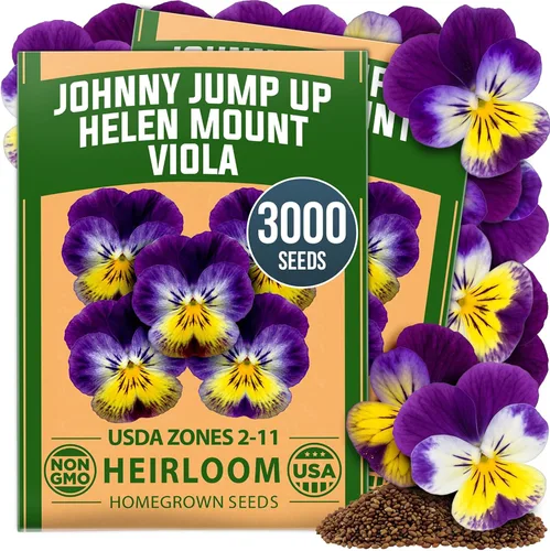 Vista 39 de HOME GROWN Semillas de Hollyhock de doble mezcla de Chater, 200 semillas