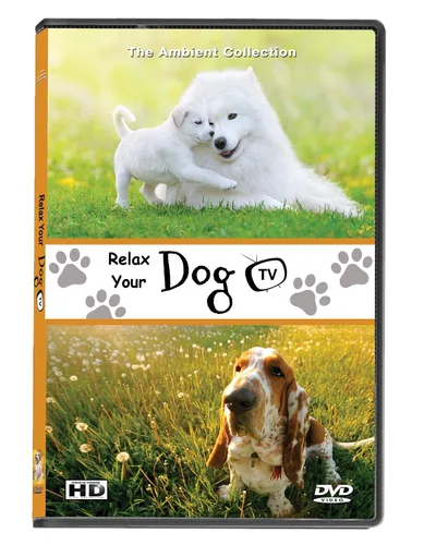 Vista 2 de DVD For Dogs To Watch - Relaxing Dog Videos - Relax Your Dogs With Super-cute Dogs In Natural Scenery From Beaches To Snow To Calm Your Dog