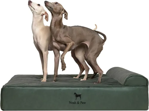 Vista 21 de NOAH & PAW Cama pequeña para perros, 20 x 15 x 6.5 pulgadas, cama para gatos de interior, espuma viscoelástica ortopédica de cáscara de huevo Verde