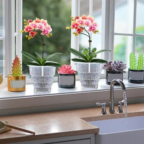Vista 5 de Macetas transparentes para orquídeas con agujeros, macetas de plástico de 7 pulgadas con agujeros, macetas transparentes de 2 litros con columna