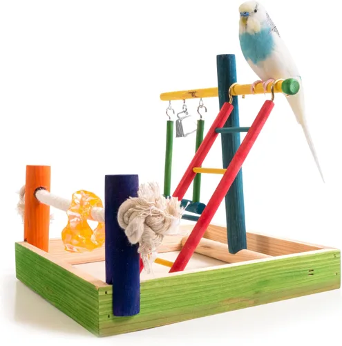 Vista 4 de Penn-Plax Centro de Actividades para Aves – Perfecto para Aves Jóvenes o Pequeñas