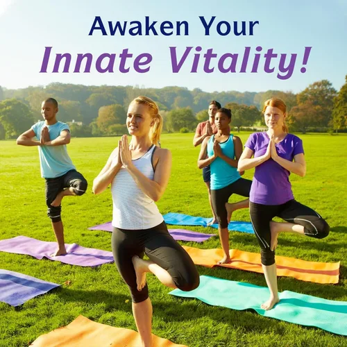 Vista 8 de Innate Vitality Glicinato de magnesio 1000 mg por porción Suplemento de magnesio elemental de 140 mg – Alta absorción, sin tamponado, sin OMG