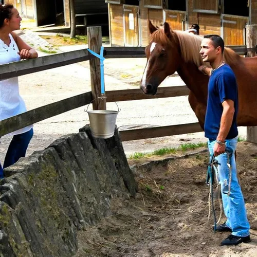 Vista 5 de Perchas de algodón con correa de cubo para caballo, 4 piezas ajustables de 28 a 50 pulgadas de longitud, proveedores para redes de heno, cubos