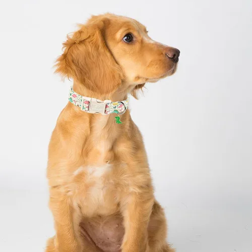 Vista 394 de Collar para perros del 4 de julio, collares patrióticos azules para cachorros y perros pequeños, ligero y ajustable 1776 collares para cachorros