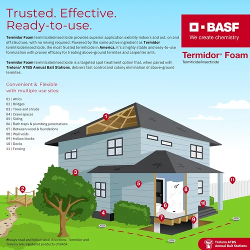 Vista 2 de BASF Termidor Foam 20 oz – Insecticida termiticida para termitas, hormigas y madera destruyendo plagas e insectos