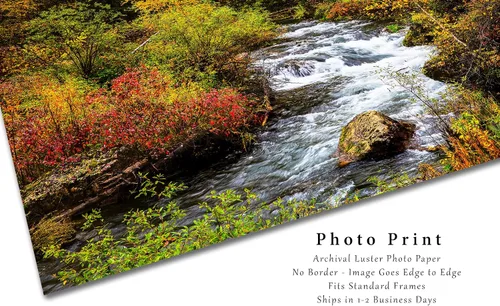 Vista 2 de Black Hills Photography Print (Not Framed) Picture of Creek Surrounded by Fall Foliage on Autumn Day in Spearfish Canyon South Dakota Nature Wall