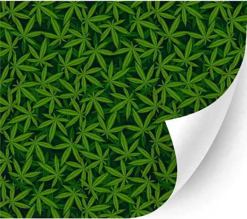 Vista 11 de 4/20Cannabis Orajet 3164 Vinilo adhesivo brillante (hojas coloridas de cannabis, 11 x 12 pulgadas) – Vidrio para automóvil, calcomanías