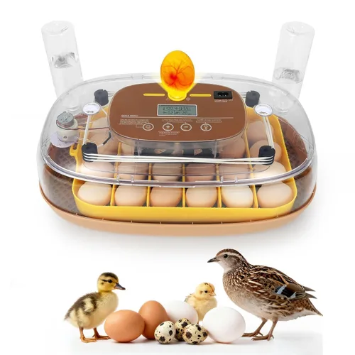 Vista 11 de Gen II - Incubadora automática de 12 huevos, humedad de dos etapas con recarga automática y control de temperatura estable, giro automático
