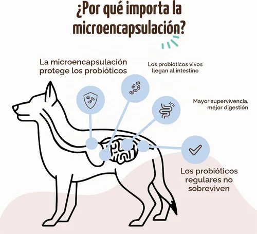 Vista 4 de Natural Dog Company - Masticables probióticos para perros, 45 unidades, suministro para 6 semanas