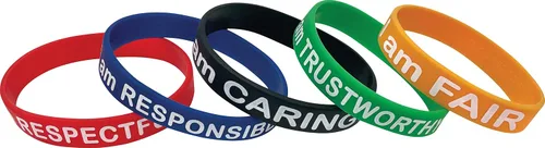 Vista 2 de Recursos creados por profesores Pulseras de características de personajes (6569)