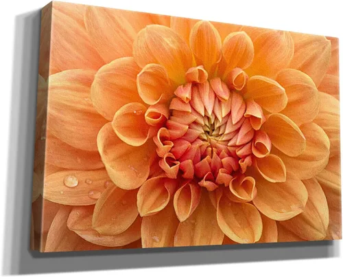 Vista 2 de Epic Graffiti 'Orange Dahlia' de Cora Niele, lienzo decorativo para pared, 18 x 12 pulgadas