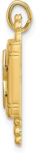 Vista 2 de Avariah Colgante de oro amarillo pulido de 14 k con estrella de David esmaltada y Torá maciza, 0.866 in, Oro, no conocido