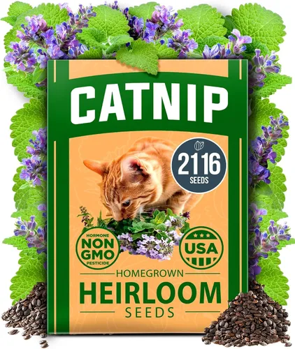 Vista 24 de HOME GROWN Semillas de zinnia rosa – 300 zinnias Luminosa 0.5g, semillas anuales de flores fáciles de cultivar para plantar al aire libre para 2026