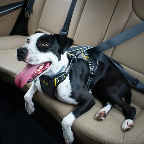Vista 4 de Kurgo Arnés de automóvil para perro de impacto – Arnés para mascotas a prueba de choques – Seguridad premium para el auto para perro – Soporte