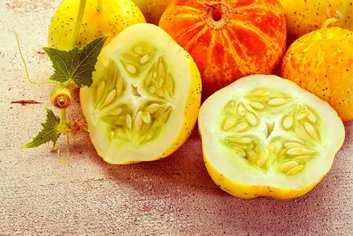 Vista 24 de Semillas de huerto para plantar - Cultiva verduras tradicionales (pimienta de 5 colores)