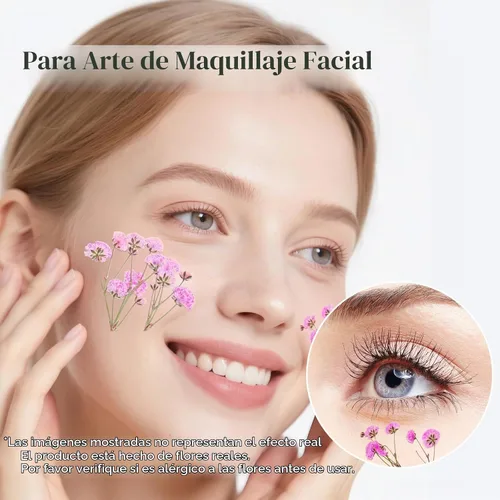 Vista 6 de 50 piezas de flores secas prensadas para el aliento del bebé Mini Rosa