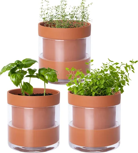 Vista 20 de Phoenix Vine Maceta de riego automático de 4 pulgadas, maceta de arcilla de terracota con depósito de vidrio para plantas de interior, hierbas