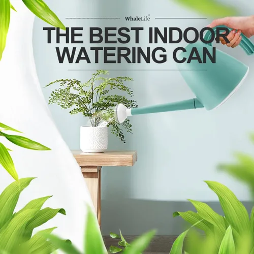 Vista 6 de WhaleLife Regadera interior para plantas de bonsái de casa (2.0L, azul)