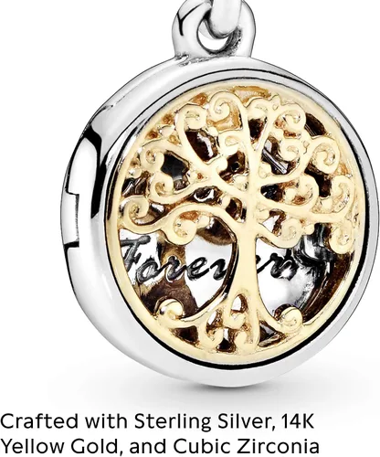 Vista 3 de PANDORA Jewelry Family Roots - Dije de circonita cúbica en plata de ley y oro amarillo de 14 quilates Metal Circonita cúbica