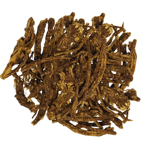 Vista 4 de Yerbero - Raíz de Osha 3.5 oz (100 g) Raiz de Chuchupate Ligusticum porteri Zanahoria de montaña, raíz de oso 100% natural Purificación