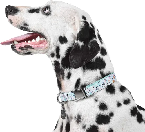 Vista 7 de Now House for Pets by Jonathan Adler Mint - Collar de terrazo, mediano, manera elegante y moderna de mantener a tu perro con un aspecto genial