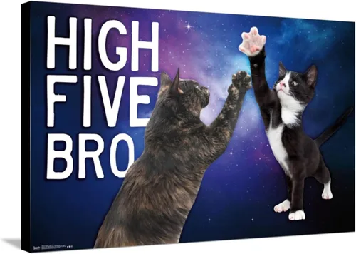 Vista 5 de Trends International Keith Kimberlin - Kittens - High Five Bro in Space Wall Poster, 14.72" x 22.37", Stretched Canvas