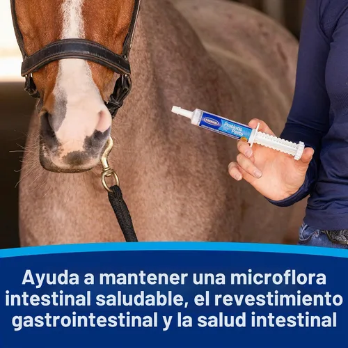 Vista 5 de Farnam Los caballos en jeringa con pasta probiótica ayudan al equilibrio El suplemento de salud digestiva e inmunológica de entrega rápida apoya un