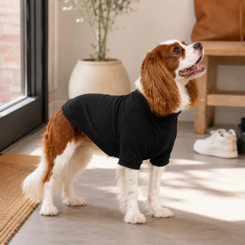 Vista 7 de Lovelonglong Sudadera para perro, otoño, invierno, clima frío, camisetas para perros pequeños, medianos y grandes, ropa de chihuahua, color negro, XS