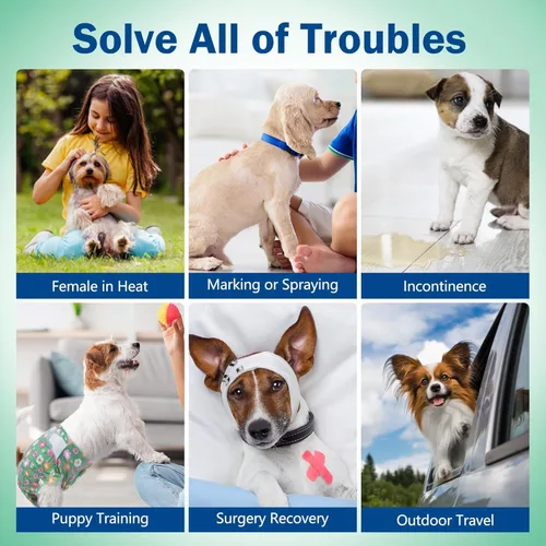 Vista 6 de Pet Soft Pañales para perras hembra, pañales desechables para perras, pañales para gatos y cachorros con agujero de cola de espuma ajustable