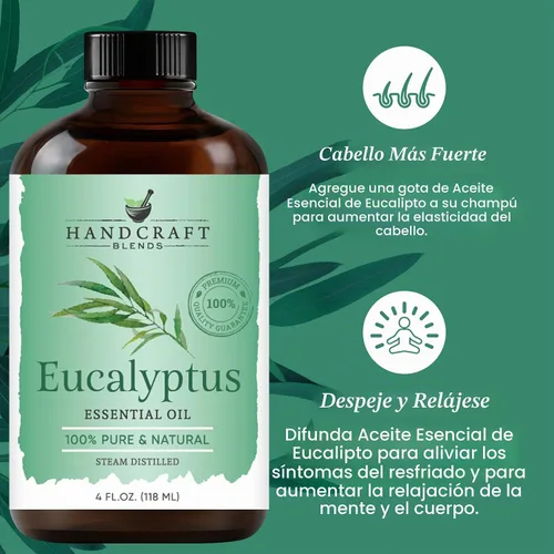 Vista 4 de Handcraft Blends Aceite esencial de eucalipto – Extra grande, 4 fl oz – 100 % puro y natural – Aceite esencial de grado prémium para difusor