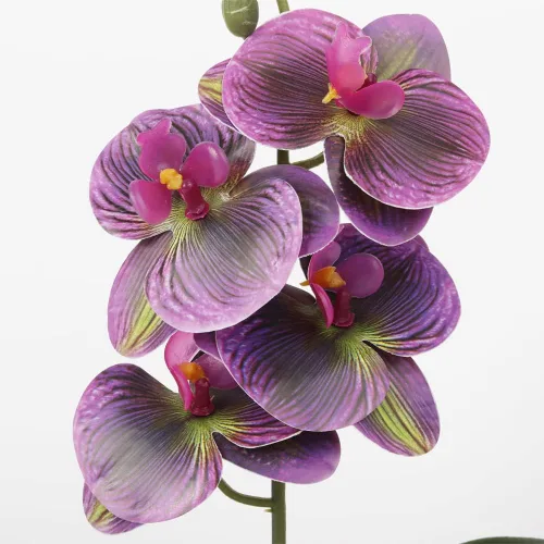 Vista 4 de Orquídeas falsas radiantes, decoración de tanque floral de terrario de reptiles estéticos
