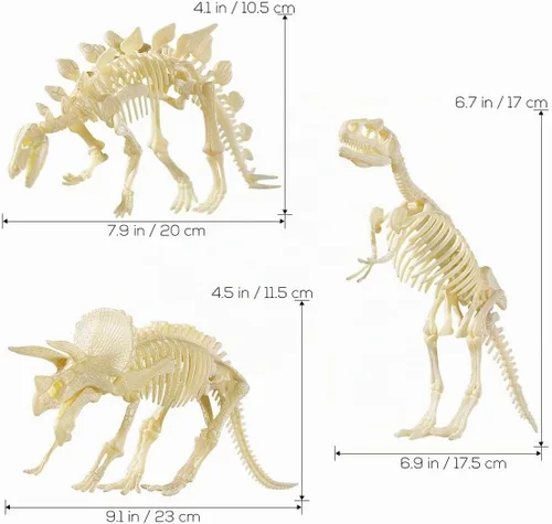 Vista 4 de Figura para armar Nuolux, 3 piezas 4D fósil de esqueleto de dinosaurio para niños
