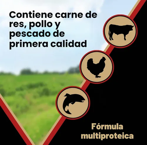 Vista 5 de VICTOR Purpose Nutra Pro - Alimento seco para perros, alto contenido