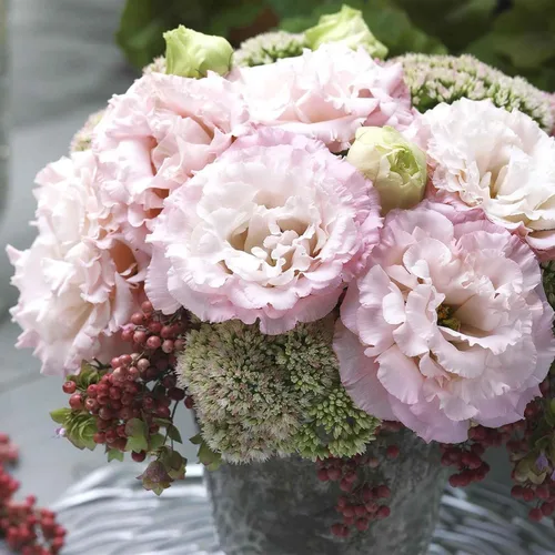 Vista 5 de Eden Brothers Lisianthus Seeds - Rosanne Green (F1)