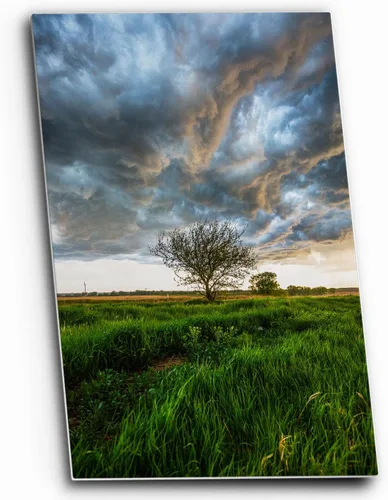 Vista 6 de Great Plains - Impresión fotográfica (sin marco), imagen vertical del árbol bajo el cielo tormentoso en el día de primavera en la pradera de Kansas