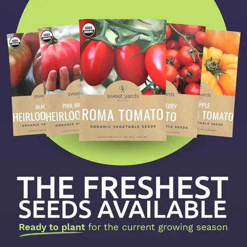 Vista 3 de Paquete variado de semillas de tomate orgánico – 5 paquetes individuales – Temporada 2026 – Roma, Brandywine rosa, cereza Sweetie, Krim negro