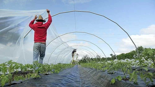 Vista 2 de The Market Gardener's Toolkit