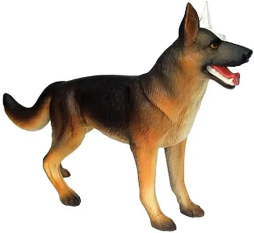 Vista 2 de Maqueta de anatomía de perro Tedco con visión 4D