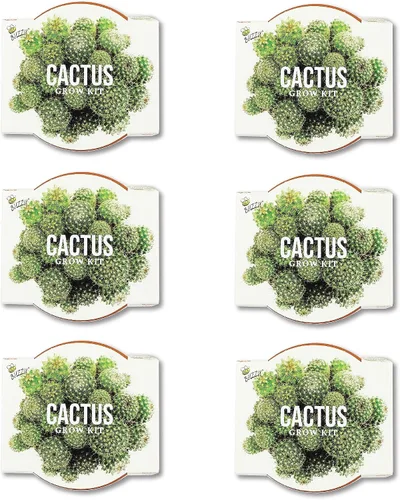 Vista 2 de BUZZY Semillas de terracota Mini macetas de cultivo Kit de iniciación de hierbas, plantas, flores para niños y adultos Mini cactus paquete de 6
