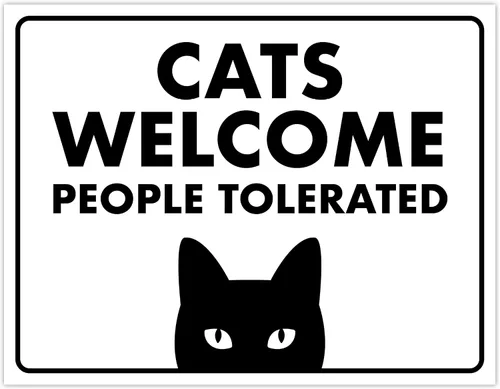 Vista 38 de Señal de Gato de 24 Horas de Vigilancia Felina de Premises Under 24 Hour - Cartel de gato divertido, metal, 8 x 12 pulgadas, letreros de gato
