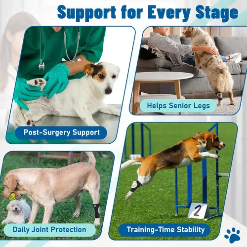 Vista 5 de Soportes para patas de perro para patas traseras y delanteras, soporte articular de perro y tobillo para patas traseras débiles con 2 tiras