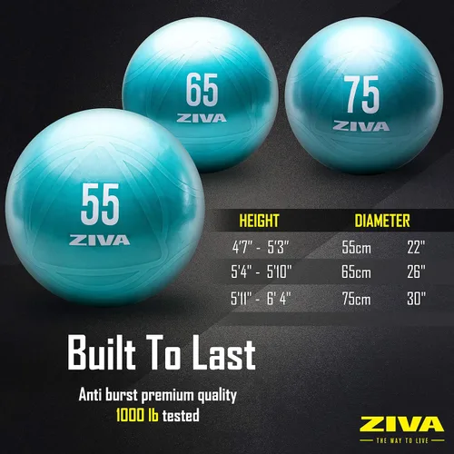 Vista 5 de Ziva Pelota de ejercicio de fitness con núcleo antiestallido, pelota de yoga antideslizante de grado profesional para equilibrio de estabilidad
