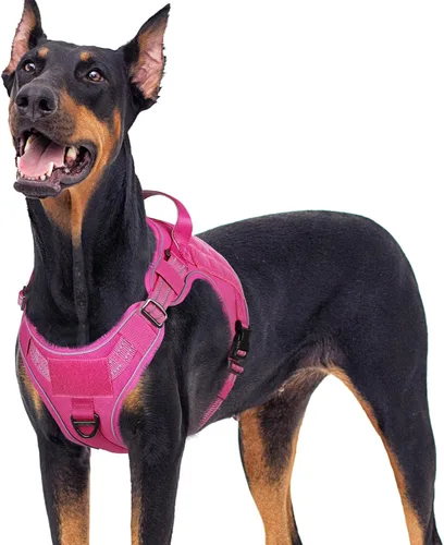 Vista 42 de rabbitgoo - Arnés para perros pequeño sin tirones, chaleco táctico de servicio con Molle y asa de control, arnés militar ajustable y reflectante