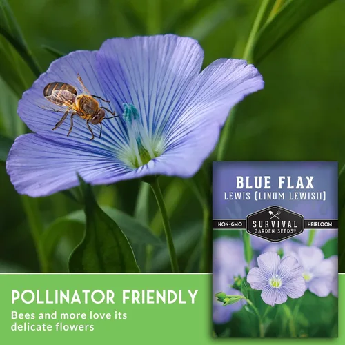 Vista 6 de Lewis - Semillas de lino azul para plantar, planta y cultiva flores silvestres nativas perennes tolerantes a la sequía para el jardín de tu hogar